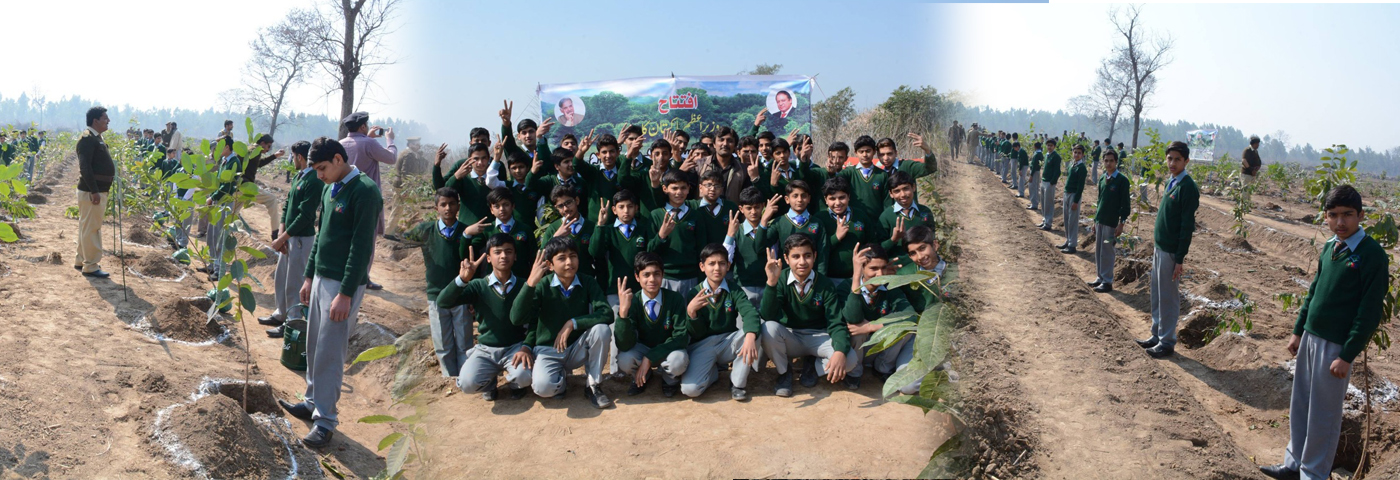 World Plantation Day Celebration