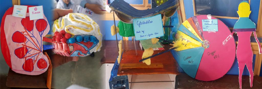 Science Model Exhibition